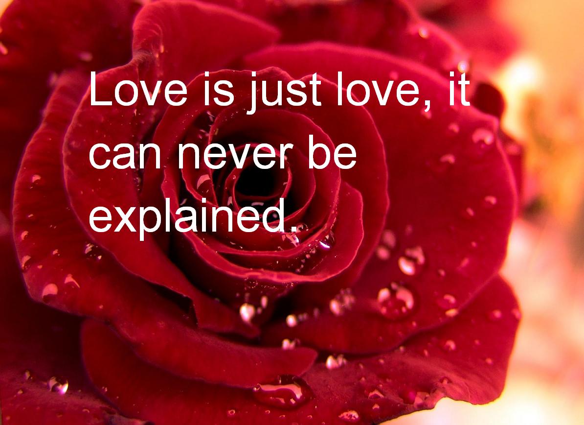 Best%2BValentine%2BQuotes%2B%288%29 Valentine’s Day Quotes 2014 for couples