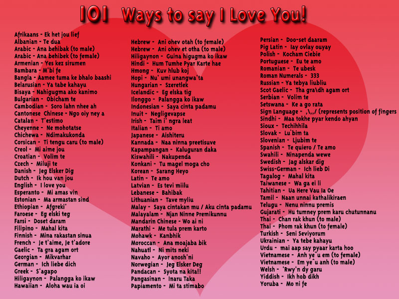 i love you i love you in all languages of the world 