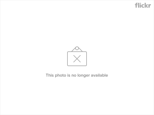 4177654100 2c9e21f221 8 Top ideas to enjoy a good winter