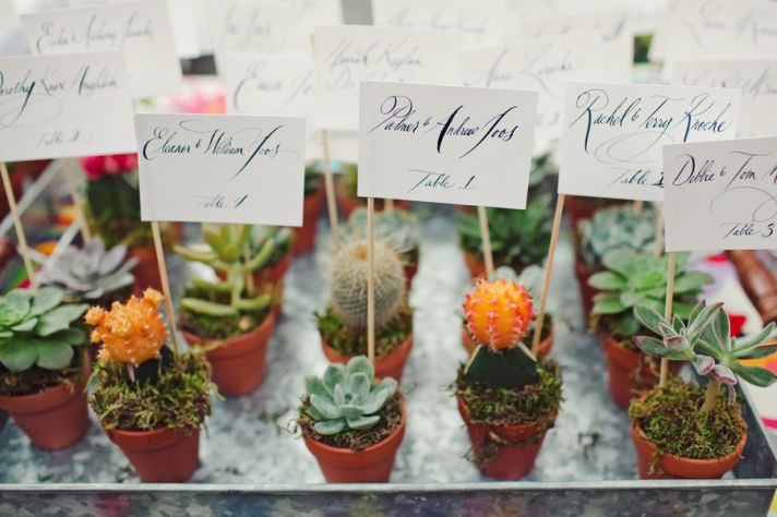 potted plant wedding favors double as escort cards  full Make your wedding Friendly with environment