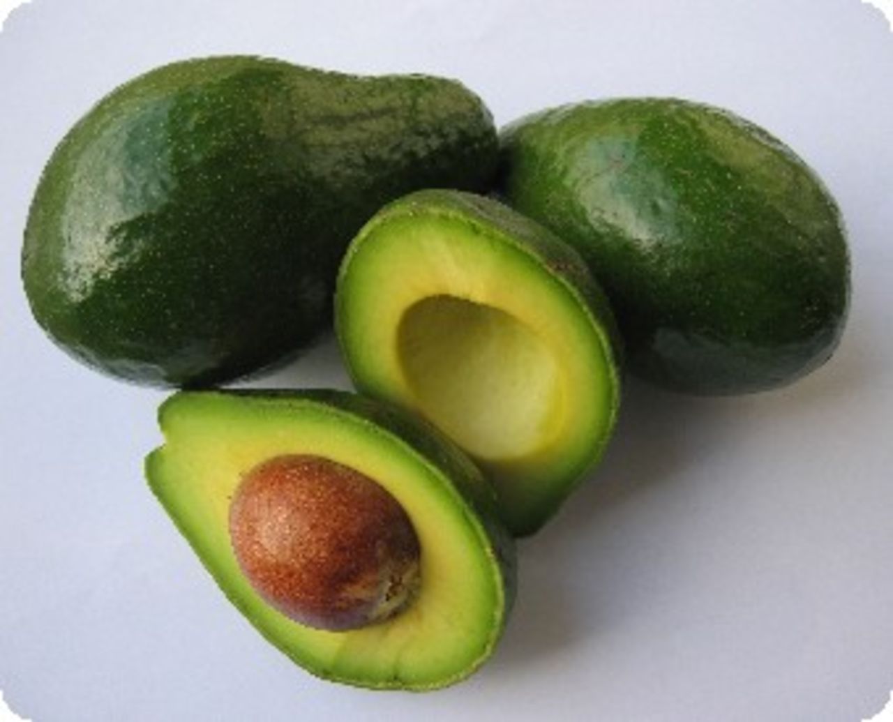 AVOCADO Foods suitable for honeymoon