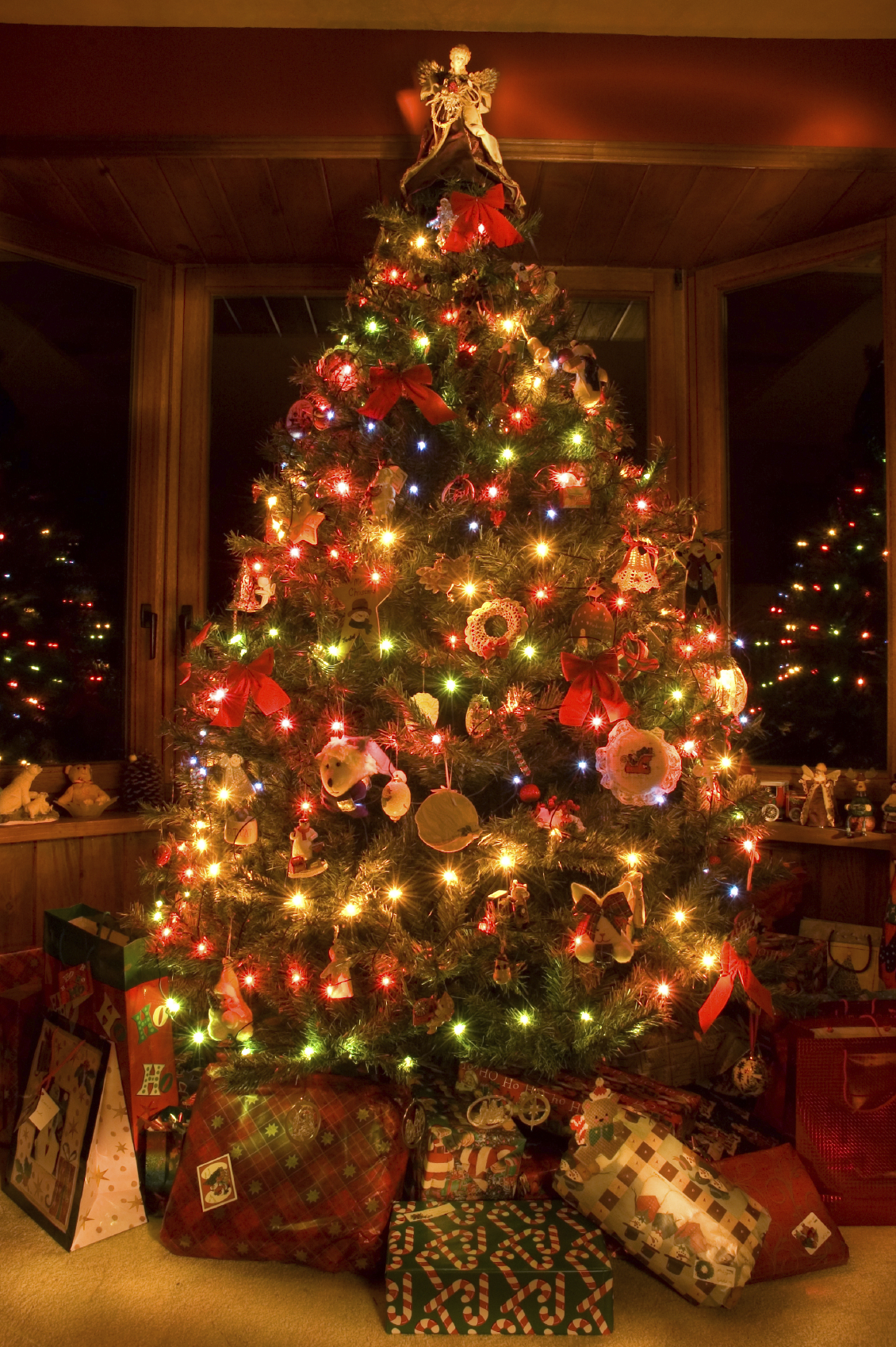 christmas tree How to Choose the right Christmas tree