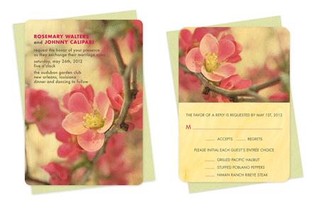 spring wedding invitations 450 Guide for a spring wedding