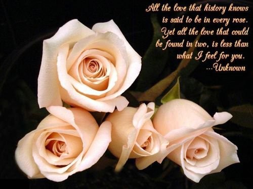 217779 Beautiful love quotes and sayings 2014