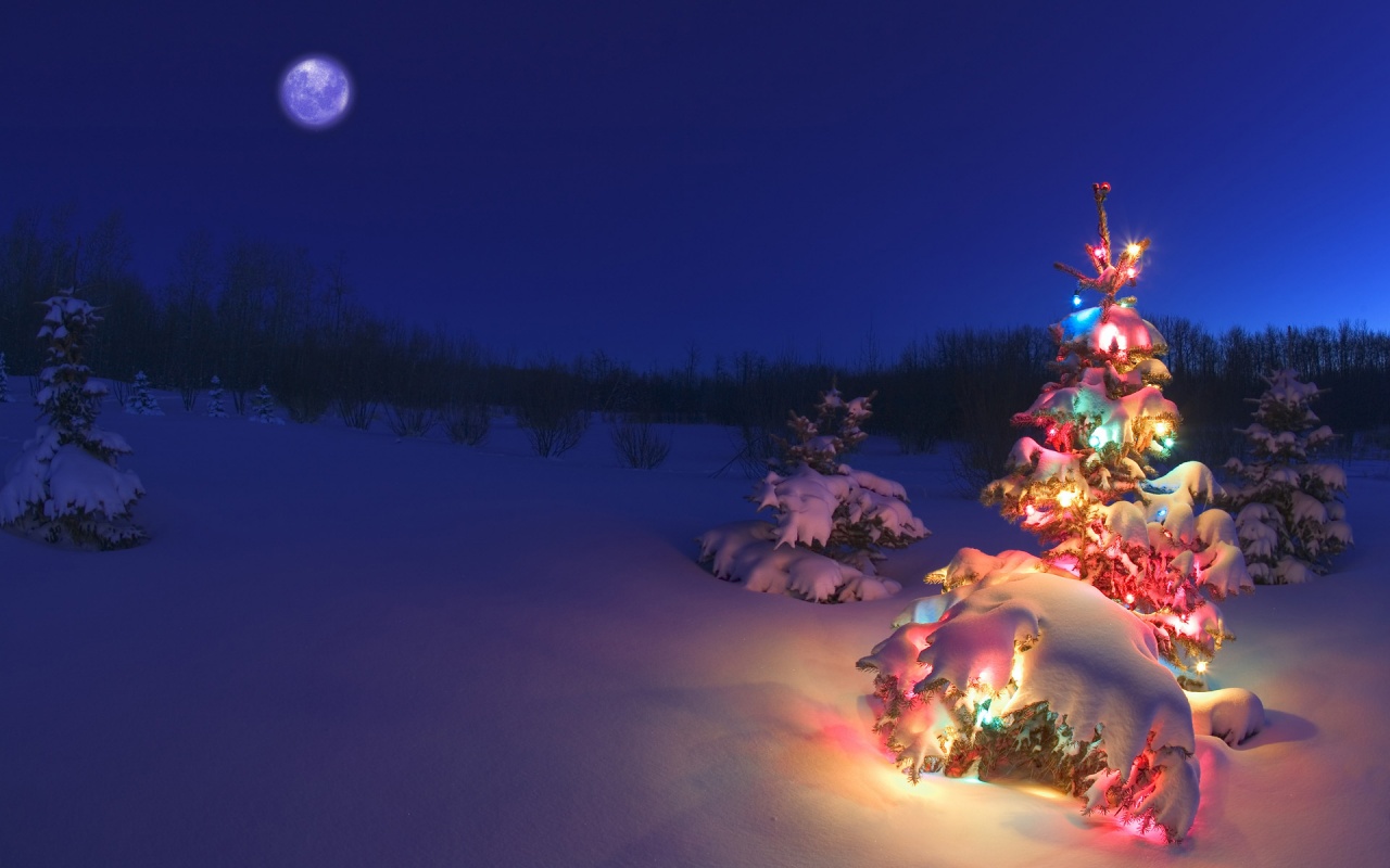 happy holidays 2012 1280x800 A wallpaper for holy Christmas ideas