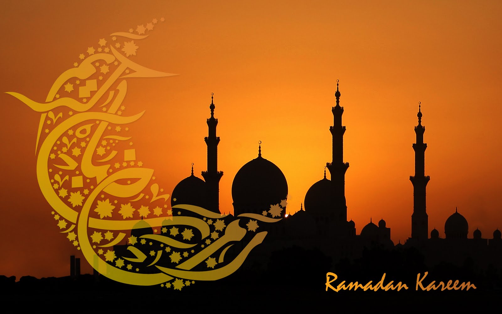  The best & wonderful images of Ramadan 2014