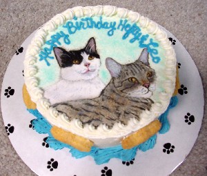 pic1cake wonderful cat birthday cake