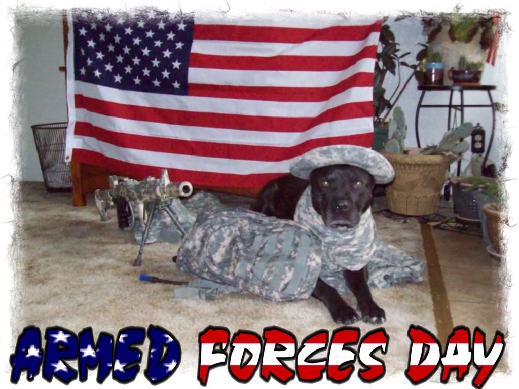 Happy Armed Forces Day 2014 happy american armed forces day graphic Happy Armed Forces Day 2014