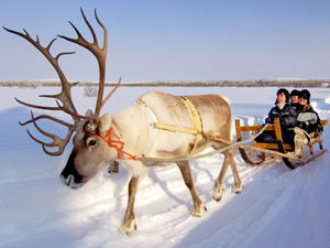 4209699f878351d56df57f5a78ff0262 5 tips for a honeymoon in winter ideas