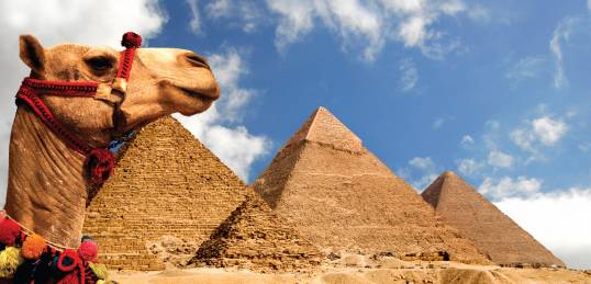 4ce6ca8d694982d445cb854835c5c71c Ideas for Half a year holiday in Egypt