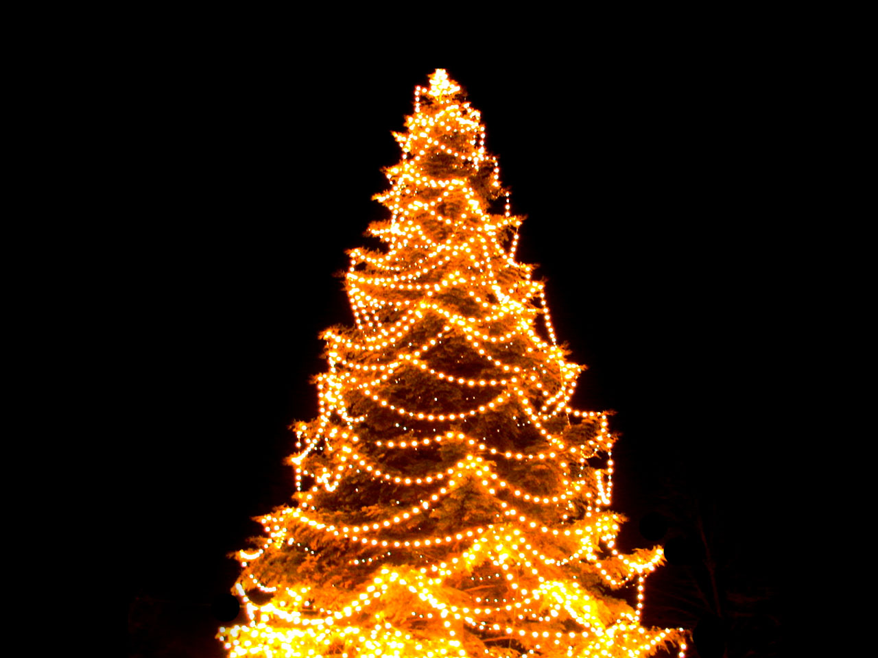 4da1779908a6418b1a511c9373db53e5 Christmas tree lights decorating ideas