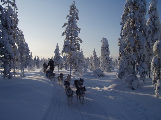 5a7be7877fee78c69f628c17cec5744c Winter honeymoon places photo ideas