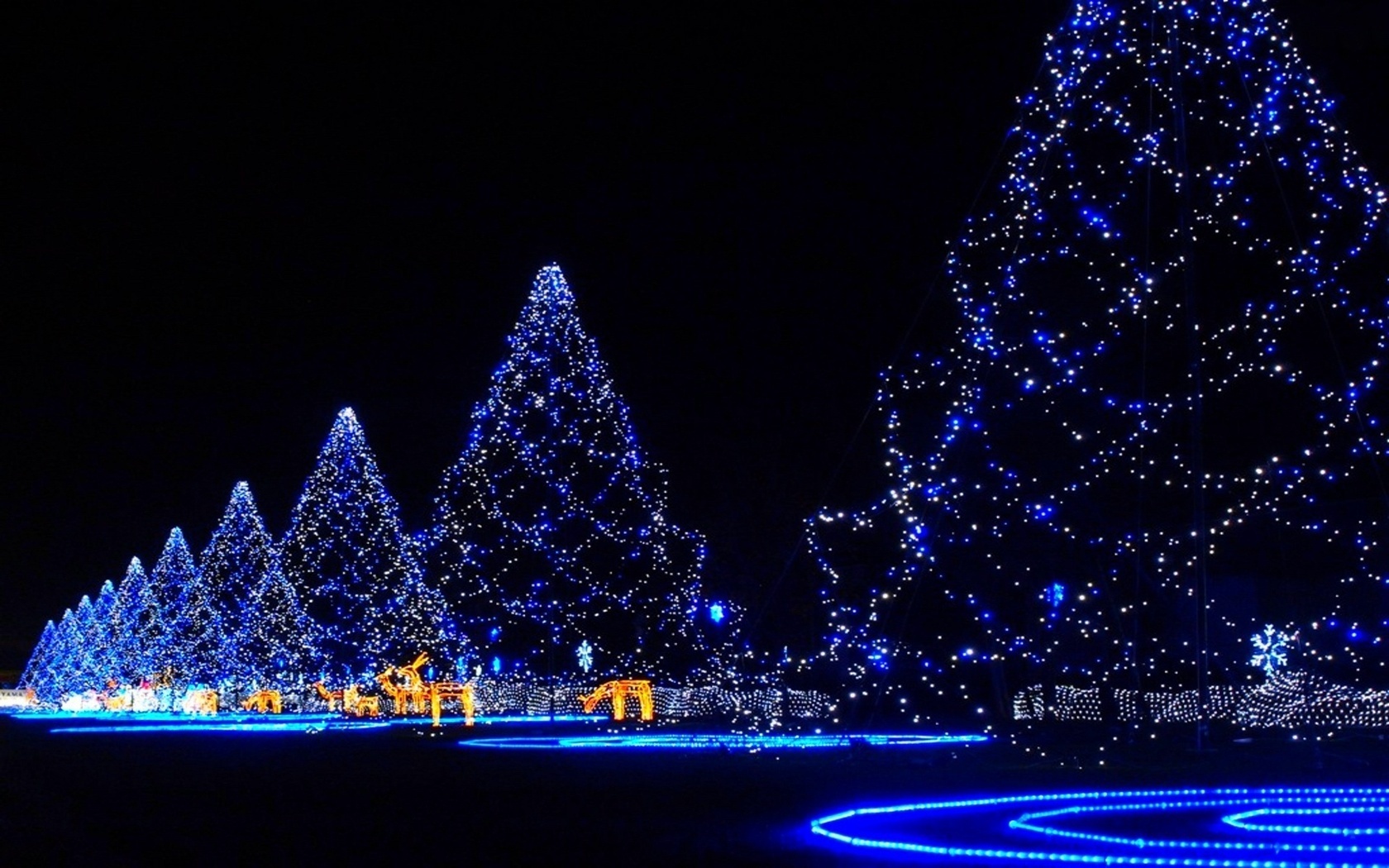 67e7dd6d8d50d44e4d08230601f8d9a2 A wallpaper for holy Christmas ideas