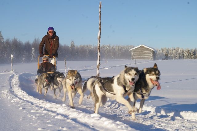 6ac52fea2d7a2d6c3d8315cb8f14ed8c 5 tips for a honeymoon in winter ideas
