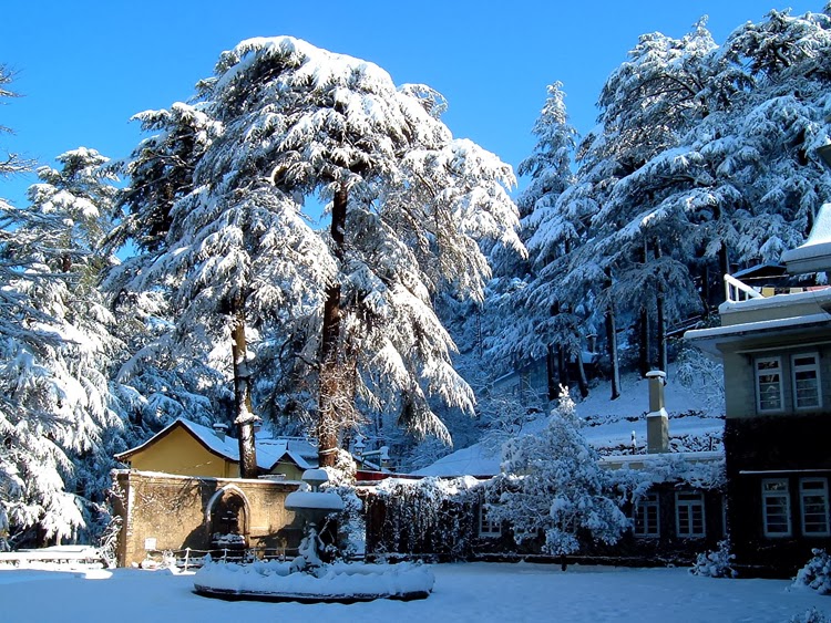 Destinations to spend your winter honeymoon cbb596047555e4698d75cf98bb1ea23b Destinations to spend your winter honeymoon