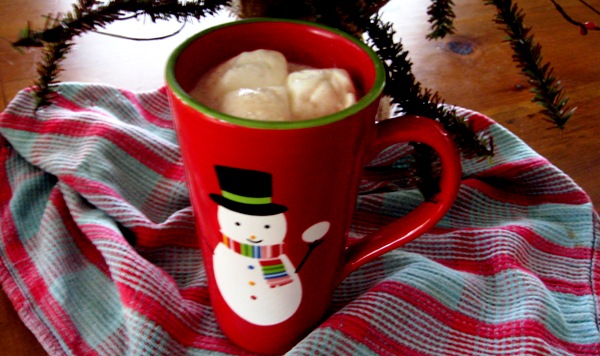 cd4d2e1ef7802d125d58fd555b604714 8 Top ideas to enjoy a good winter