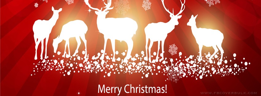 d061015ff5f0b20b95f1f035c659e55d 20 Wonderful Merry Christmas Facebook Timeline covers
