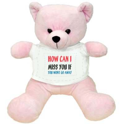 C1600101 1035 Valentines Day teddy bear pictures 2014