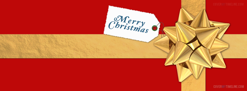 e07d83ce73b9fe4cb3ce1cc143c7dadd 20 Wonderful Merry Christmas Facebook Timeline covers