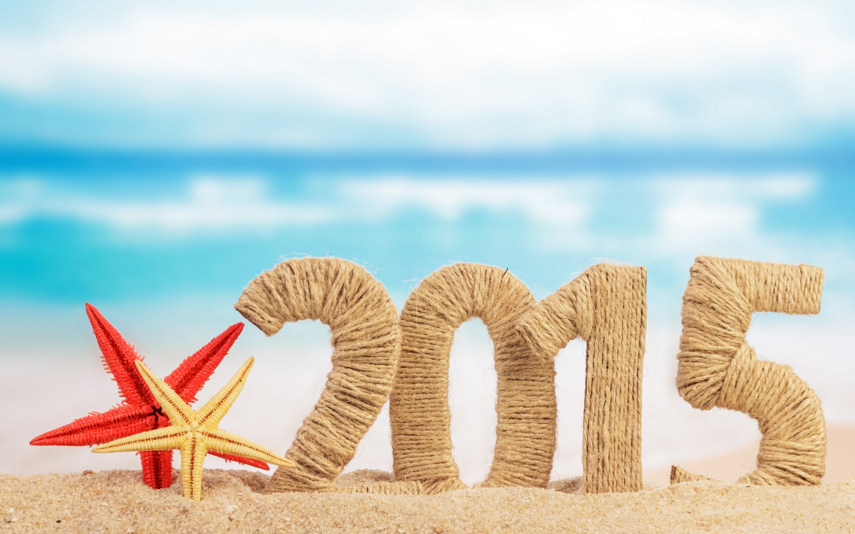 faa5b9e7f442066290bef56a289e5ae4 New Year celebration ideas