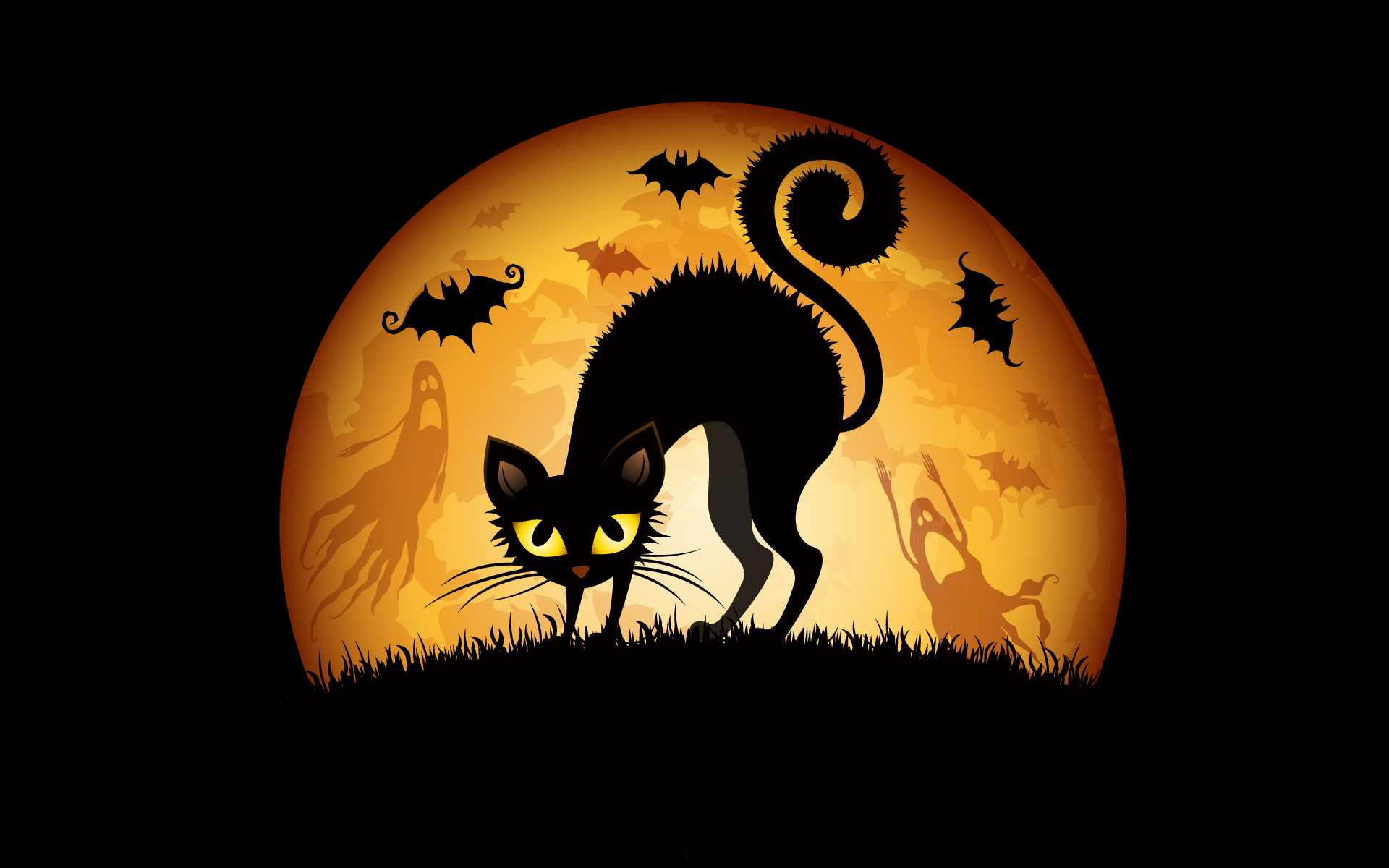 halloween cats bats wide Halloween Festival details