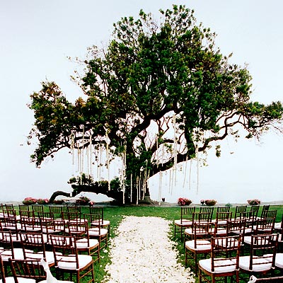 treeaisle Exquisite decor ideas for weddings outdoors