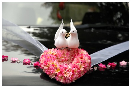 10 Ideas for wedding car flowers decoration wedding car 1 10 Ideas for wedding car flowers decoration