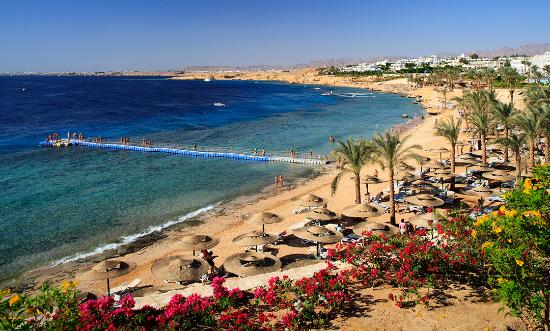 sharm el sheikh Sharm El Sheikh 2014   honeymoon destination 2014