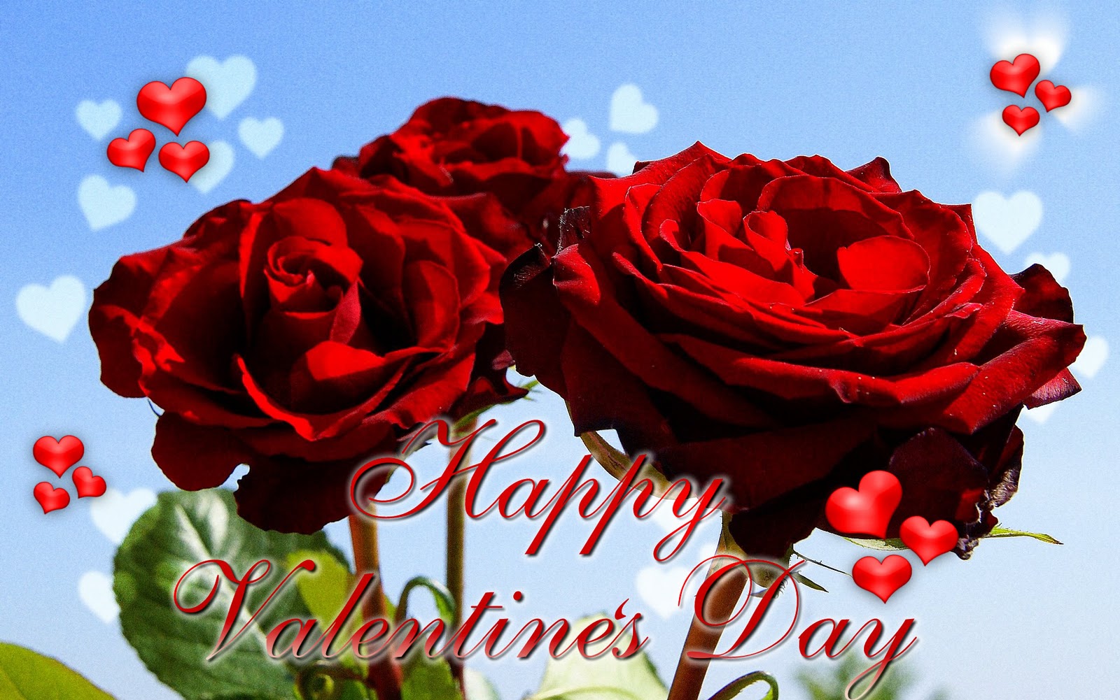 Special valentine greetings cards 2014 Valentines day red roses Special valentine greetings cards 2014