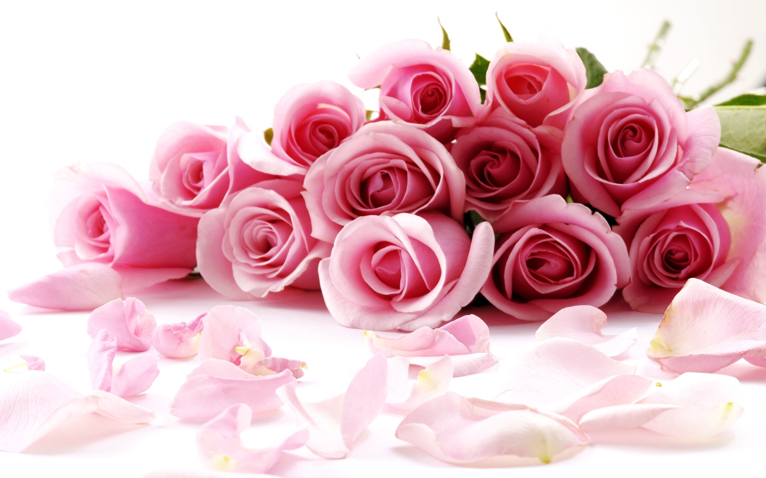 Valentines Day Roses Valentine day wallpaper hd 2014