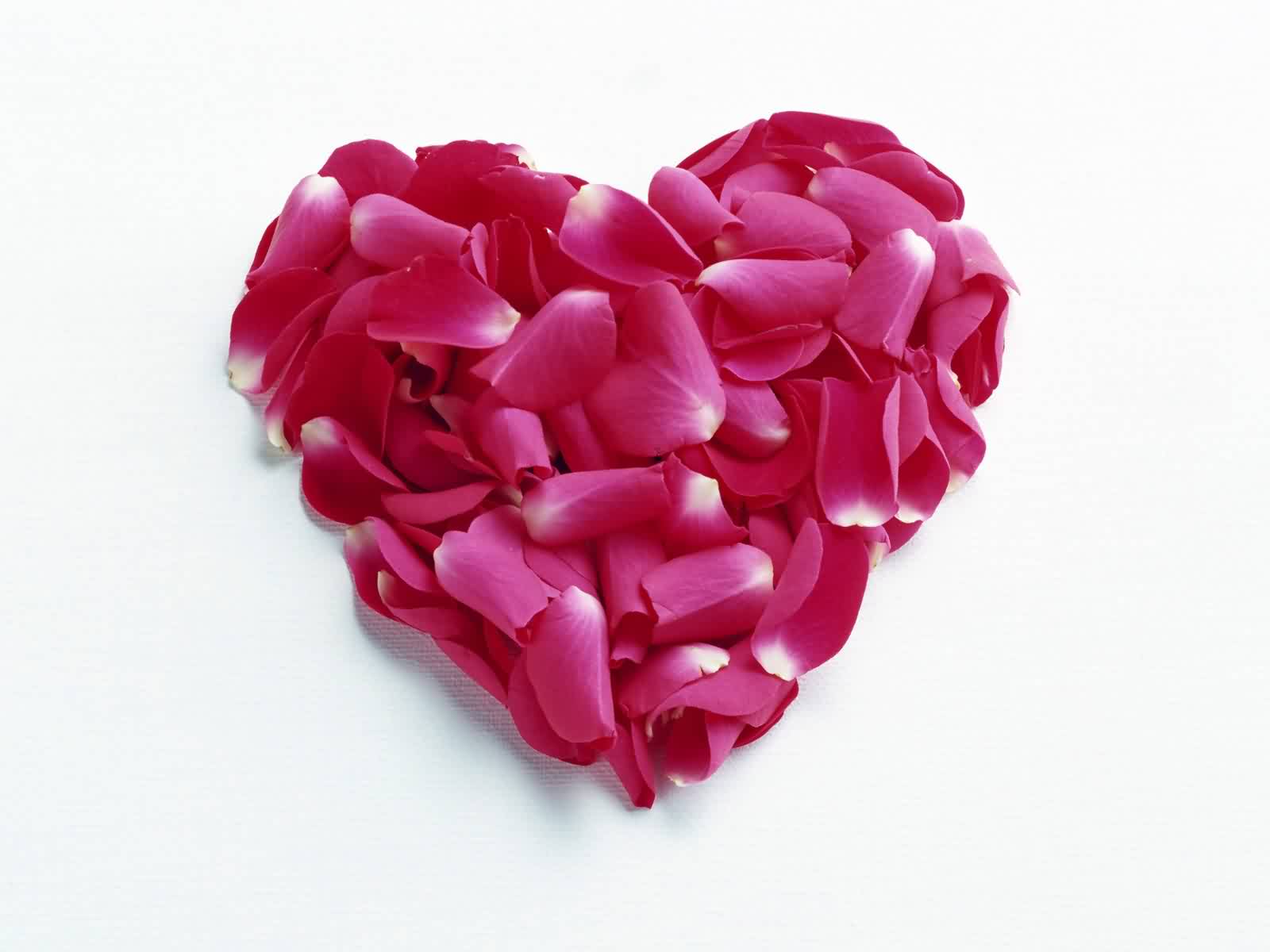 hinhdethuong89 Valentine day wallpaper hd 2014