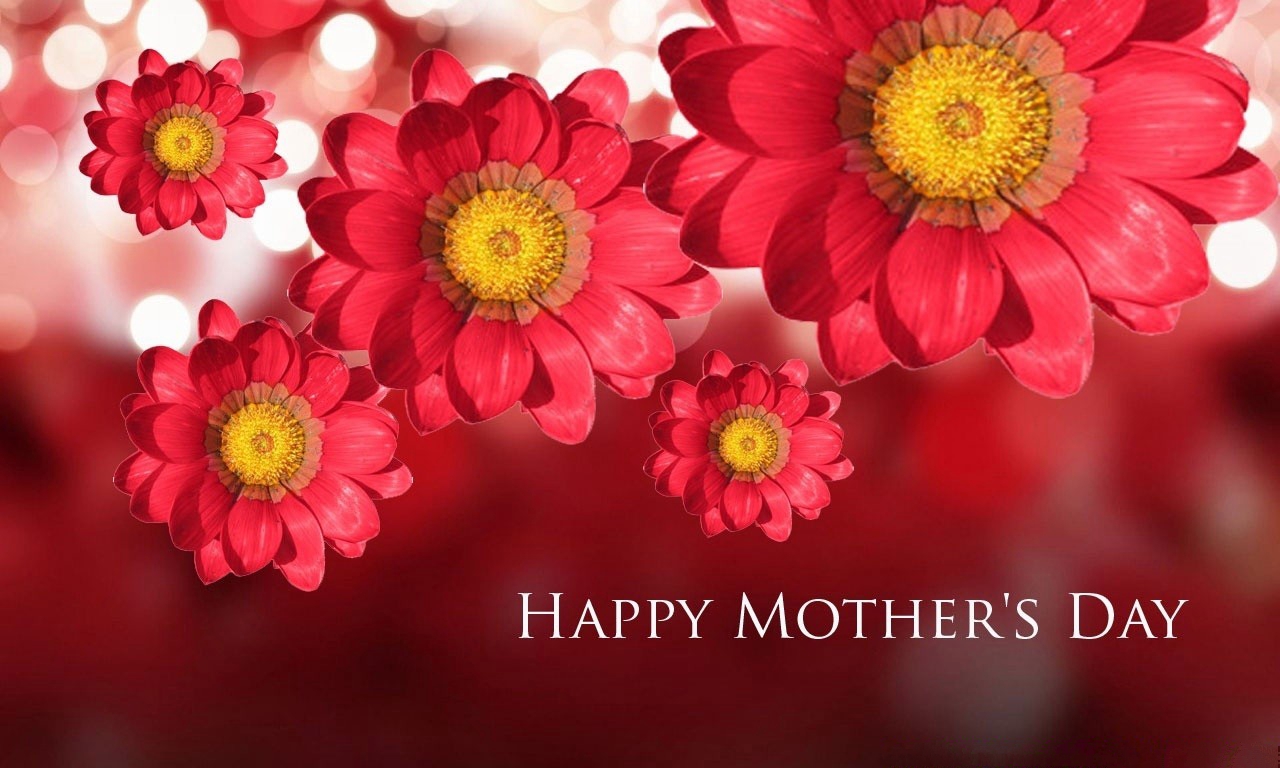 Happy Mothers Day 2014 Flowers Happy Mothers Day images 2014