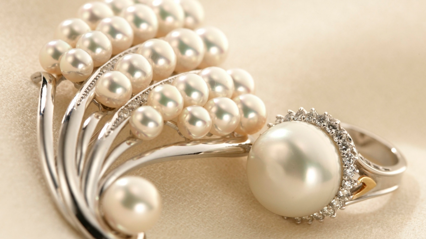 Jewelry Pearl Jewellery 491127 Collection of nice Jewelry & accessories