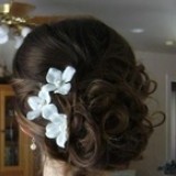 5 Simple Amazing Bridal Hairstyles