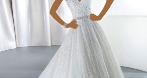 Demetrios wedding dresses do you choose from them ?