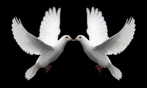 7 Creative ideas for a wedding with a special character