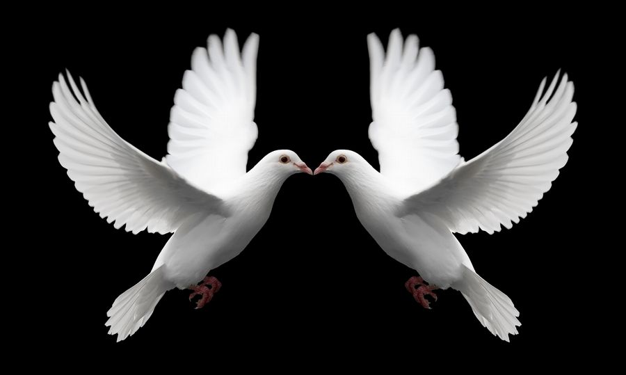 5eb1eba72eefbc2335ba18cce4f980ea 7 Creative ideas for a wedding with a special character