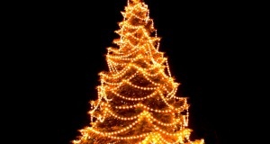 Christmas tree lights decorating ideas