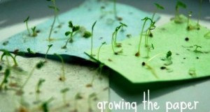 Wedding invitations with recycled paper 2015