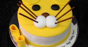 wonderful cat birthday cake