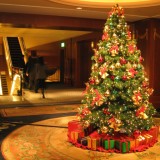 Wonderful christmas trees decoration images