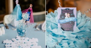 Wonderful Frozen Themed Birthday Party ideas