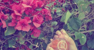 How to choose your perfume carefully