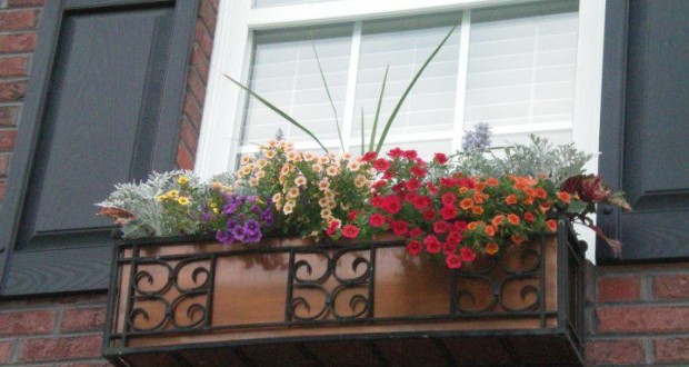 Ideas design for windows Flowers