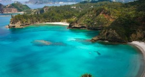 Honeymoon in the Galapagos Islands