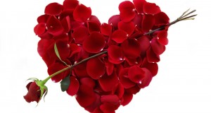 Romantic red photos for Valentine’s day