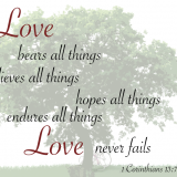 Romantic Wedding quotes 2014