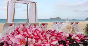 Best beach wedding arch 2014