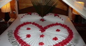 Awesome honeymoon bed decoration ideas 2014