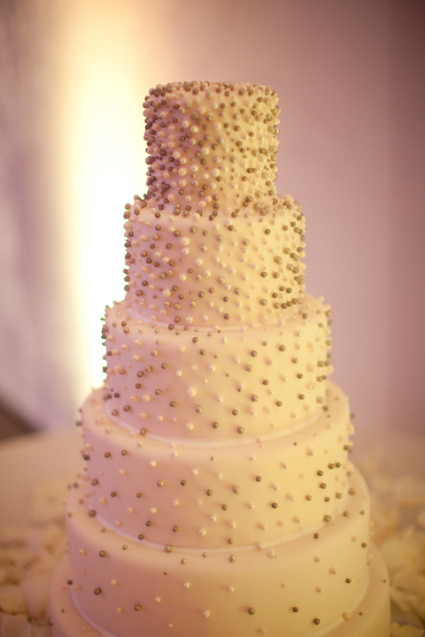 cake59 Some forms of the wedding cake for 2014